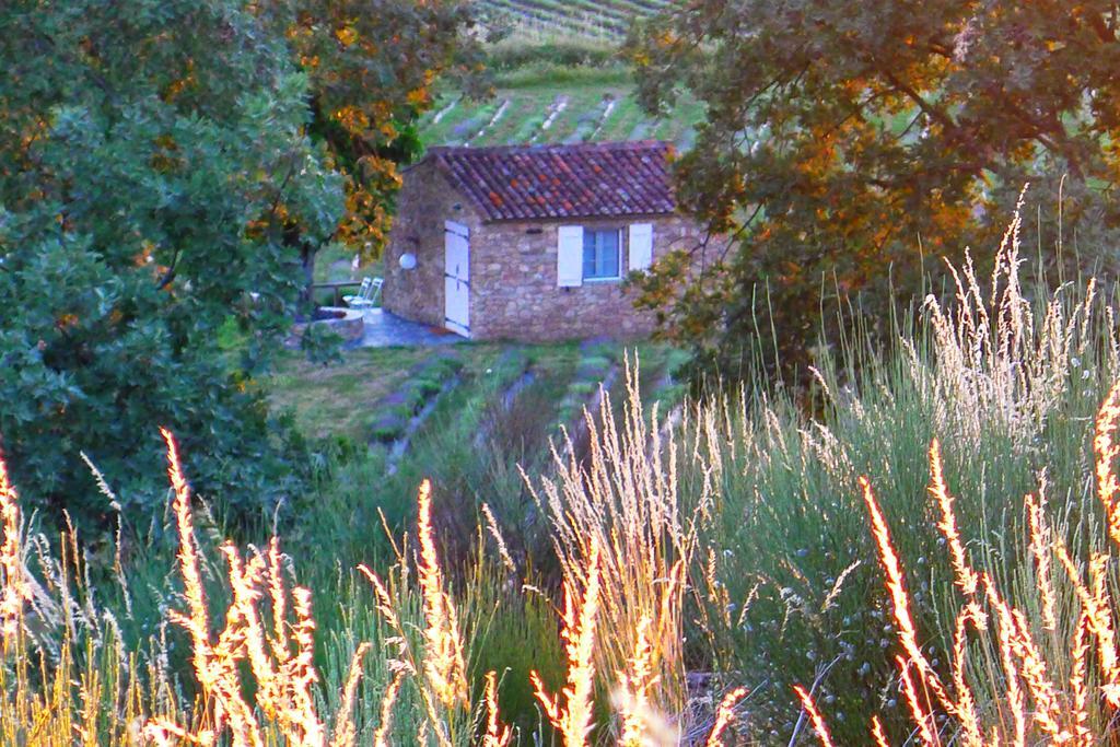 Quinta Das Lavandas Castelo de Vide Exterior photo